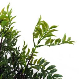 Leaf 60cm Artificial Nandina Bonsai Ficus Tree in Green - thumbnail 2