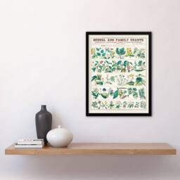 Artery8 Willson & Calkins Vintage Botanical Chart No XXII Framed Art Print in White - Size: A4 - thumbnail 2
