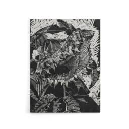 "Artery8 Sunflower Stylised Flower Bloom Reijer Stolk Canvas Wall Art Print in Black - Size: W12"" x H16""" - thumbnail 1