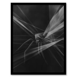 "Artery8 Spider Black White Abstract Cubist Web Threads Framed Art Print - Size: W12"" x H16""" - thumbnail 1