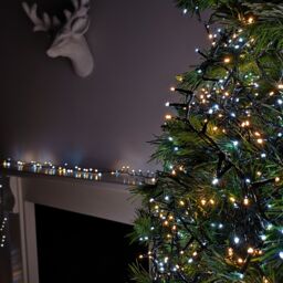 Samuel Alexander 18.7m 750 LED TreeBrights Christmas String Lights with Timer in Cool White & Warm White in Beige - thumbnail 2