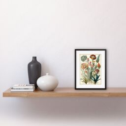 "Artery8 Wall Art Print Ernst Haeckel Inspired Vintage Botanical Plant Study Modern Watercolour Painting Artwork Framed 9X7 Inch - Size: W7"" x H9""" - thumbnail 2