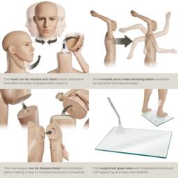 tectake Men's Male Adjustable Mannequin In Full Body Life Size With Realistic Propor in Beige - thumbnail 4