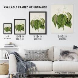 "Artery8 New Zealand Whau Cork Tree Flowers Featon Wall Art Poster Print in Beige - Size: W18"" x H24""" - thumbnail 3
