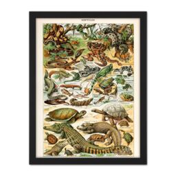 "Artery8 Wall Art Print Millot Encyclopedia Page Reptiles Snake Tortoise Large Framed Wall Décor Art in Light Oak - Size: W18"" x H24""" - thumbnail 1