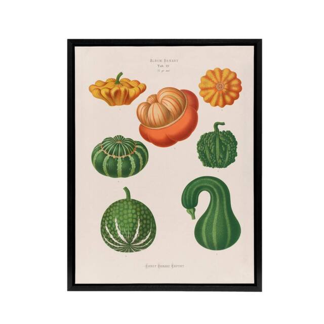 "Artery8 Ornamental Gourds Kitchen Decor Ernst Benary Framed Canvas Wall Art in White - Size: W24"" x H32""" - image 1