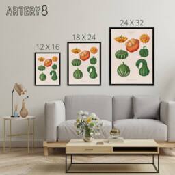 "Artery8 Ornamental Gourds Kitchen Decor Ernst Benary Framed Canvas Wall Art in White - Size: W24"" x H32""" - thumbnail 4