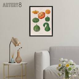 "Artery8 Ornamental Gourds Kitchen Decor Ernst Benary Framed Canvas Wall Art in White - Size: W24"" x H32""" - thumbnail 3