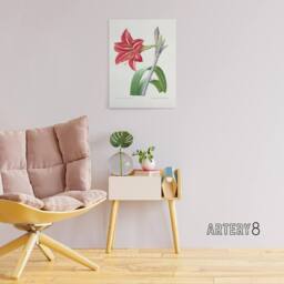 "Artery8 Brazilian Amaryllis Flower Redoute Vintage Canvas Wall Art in White - Size: W18"" x H24""" - thumbnail 3