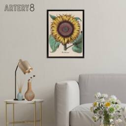 "Artery8 Sunflower Flos Solis Maior Flower Framed Canvas Wall Art Print - Size: W12"" x H16""" - thumbnail 3