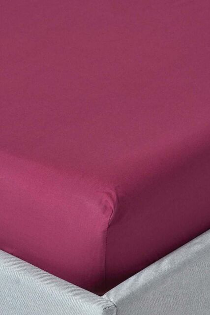 Homescapes Egyptian Cotton Deep Fitted Sheet 18 inch 200 Thread Count in Plum - Size: Single Fitted - image 1