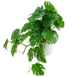 Leaf 30cm Artificial Green Potted Monstera Trailing Plant - thumbnail 5