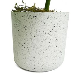 Leaf 30cm Artificial Green Potted Monstera Trailing Plant - thumbnail 3
