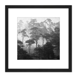 Artery8 Oja Lindi Nature Reserve Estonia Forest Trees Photo 8X8 Inch Square Wooden Framed Wall Art Print Picture with Mount in Black - thumbnail 1