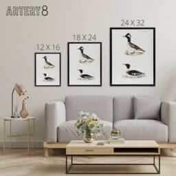 "Artery8 James De Kay Hooded & Red Breasted Sheldrake Framed Canvas Art Print in White - Size: W12"" x H16""" - thumbnail 4