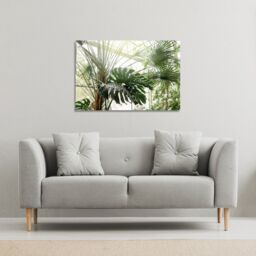 Benjamin Tate Design Green plants in botanical garde (Canvas Print) / 152 x 101 x 4cm in Natural - Size: 152 x 101 x 4 cm - thumbnail 1
