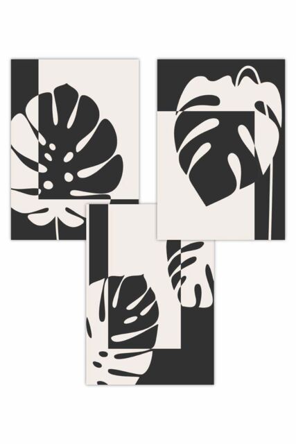 ARTZE Set of 3 Mid Century Monstera in Black & Ivory Art Posters in Charcoal - Size: W50 cm x H70 cm - image 1