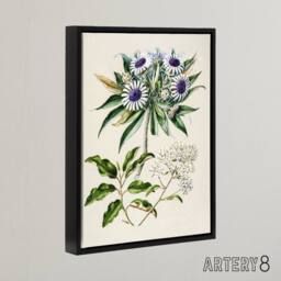 "Artery8 New Zealand Teteaweka Plant Flowers Featon Framed Canvas Wall Art in Beige - Size: W18"" x H24""" - thumbnail 2