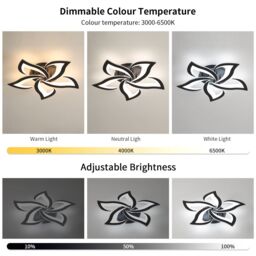 Pheashine Modern Dimmable Acrylic Ceiling Light, 40W, 58cm, Living Room, Bedroom in Black - thumbnail 2