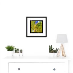 Artery8 Earth Art USGS Nature Patterns 8X8 Inch Square Wooden Framed Wall Art Print Picture with Mount in Black - thumbnail 2