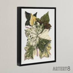 "Artery8 Various Ivy Leaves Watercolor Painting Hibberd Framed Canvas Wall Art in Green - Size: W12"" x H16""" - thumbnail 2