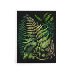 "Artery8 Elegant Fern Fronds Botanical Canvas Wall Art Print in Green - Size: W18"" x H24""" - thumbnail 1