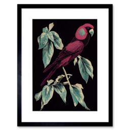 "Artery8 Wall Art Print Burgundy Parakeet Retro Modern Vintage Tropical Jungle Artwork Framed 9X7 Inch in Black - Size: W7"" x H9""" - thumbnail 1