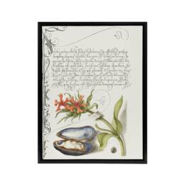 "Artery8 Flower Mussel & Ladybird Calligraphy Framed Canvas Wall Art Print in White - Size: W24"" x H32""" - thumbnail 1