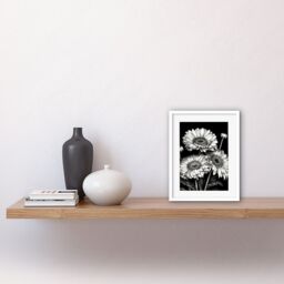 "Artery8 Wall Art Print Black & White Gerbera Flowers Dark Artwork Framed 9X7 Inch - Size: W7"" x H9""" - thumbnail 2