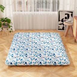 Kelvenix Double Portable Sleeping Pad Roll up Mattress in Blue - Size: Single