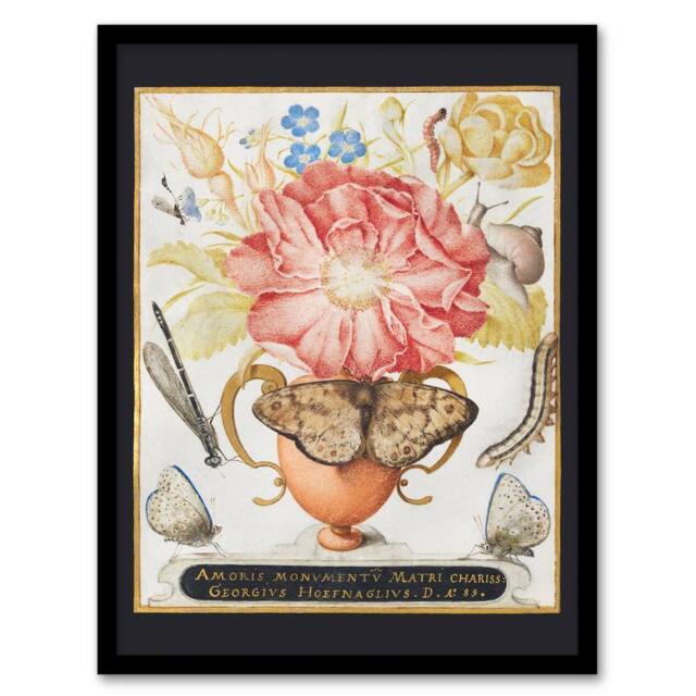 Artery8 Joris Hoefnagel Framed Wall Art Flowers Snail Insects & Butterflies - Size: A4 - image 1