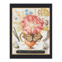 Artery8 Joris Hoefnagel Framed Wall Art Flowers Snail Insects & Butterflies - Size: A4 - thumbnail 3
