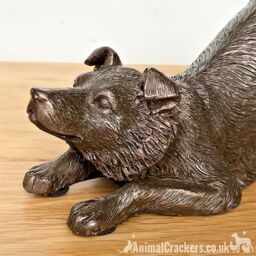 Animal Crackers Border Collie Figurine In Solid Cold Cast Bronze, Quality Dog Lover Home Decoration in Bronze - thumbnail 3