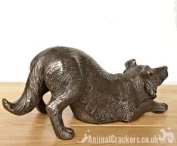 Animal Crackers Border Collie Figurine In Solid Cold Cast Bronze, Quality Dog Lover Home Decoration in Bronze - thumbnail 6