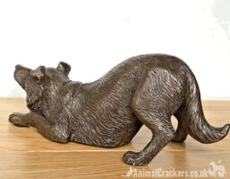 Animal Crackers Border Collie Figurine In Solid Cold Cast Bronze, Quality Dog Lover Home Decoration in Bronze - thumbnail 5