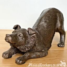 Animal Crackers Border Collie Figurine In Solid Cold Cast Bronze, Quality Dog Lover Home Decoration in Bronze - thumbnail 2