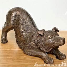 Animal Crackers Border Collie Figurine In Solid Cold Cast Bronze, Quality Dog Lover Home Decoration in Bronze