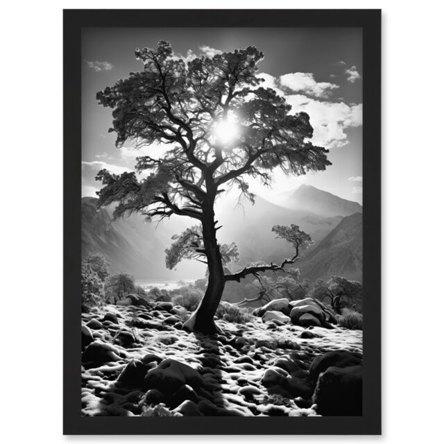 Artery8 Wall Art Print Frozen Tree Outline in Mountain Forest Landscape Covered in Snow Black & White Photograph Winter Sunshine Artwork Framed A4 - image 1