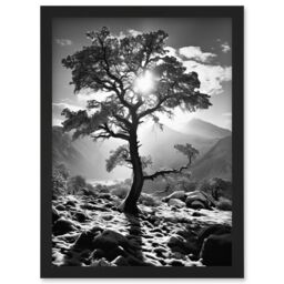 Artery8 Wall Art Print Frozen Tree Outline in Mountain Forest Landscape Covered in Snow Black & White Photograph Winter Sunshine Artwork Framed A4 - thumbnail 1