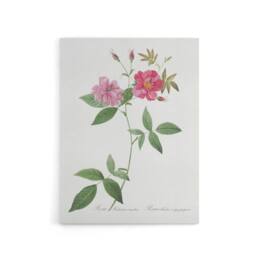 "Artery8 Hudson Rosehip Botanical Redoute Vintage Canvas Wall Art in White - Size: W18"" x H24""" - thumbnail 1