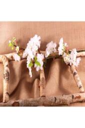 KDMD 94cm Single Apple Blossom White - thumbnail 6