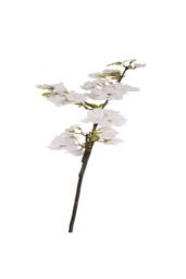 KDMD 94cm Single Apple Blossom White - thumbnail 4