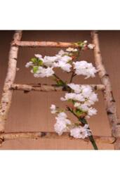 KDMD 94cm Single Apple Blossom White - thumbnail 2