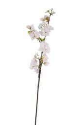 KDMD 94cm Single Apple Blossom White - thumbnail 5