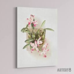 "Artery8 F Sander Laelia Autumnalis Xanthotropis Orchid Canvas Wall Art Print - Size: W12"" x H16""" - thumbnail 2