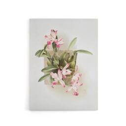"Artery8 F Sander Laelia Autumnalis Xanthotropis Orchid Canvas Wall Art Print - Size: W12"" x H16""" - thumbnail 1