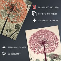 Artery8 Wall Art Print Set of 3 s Elegant Floral Allium Blooms Soft Pastel Room Decor 3 Pack Poster Living Room s - Size: A4 - thumbnail 4