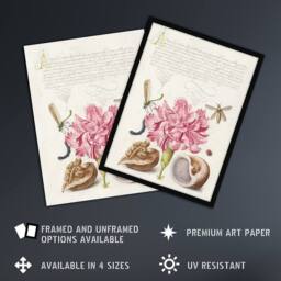 "Artery8 Carnation Walnut & Mollusk Calligraphy Wall Art Poster Print in White - Size: W12"" x H16""" - thumbnail 2