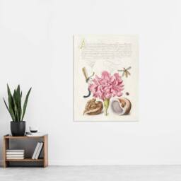 "Artery8 Carnation Walnut & Mollusk Calligraphy Wall Art Poster Print in White - Size: W12"" x H16""" - thumbnail 4