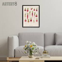 "Artery8 Radishes from Album Benary Ernst Benary Framed Canvas Wall Art Print in White - Size: W12"" x H16""" - thumbnail 3